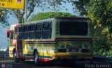 Cooperativa Canaima 50, por Pablo Acevedo