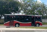 A.C. de Trans. Vencedores de Montalban 30, por Eduard Delgado