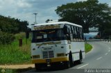 A.C. de Trans. Vencedores de Montalban 27