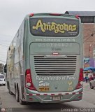 LSI Amazonas (Per) 951.,