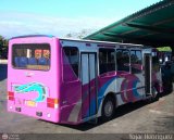 A.C. de Transporte Amigos de Ca 49