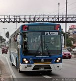 San Felipe Express S.A. (Per) 222