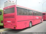 Metrobus Caracas 882, por Edgardo Gonzlez