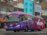 Turismo Civa S.A. 546, por Bredy Cruz
