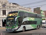 Trans Dora (Per) 969, por Leonardo Saturno