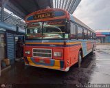 Colectivos Perij 23