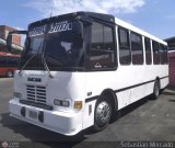 U.C. Falcn Zulia 97