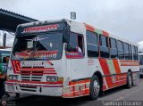 Transporte Bonanza 0006