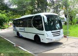 Particular Kamaz Exec, por Carlos Rizzo
