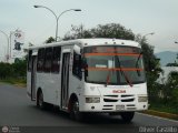 Los Rpidos S.C. 56, por Oliver Castillo