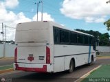 Empresa de Transporte El Buen Vecino 117