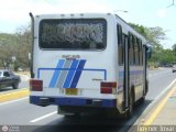 AR - Lnea Acotramora 23, por Royner Tovar