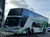 Expresos Flamingo 0051