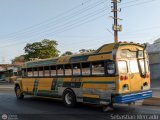 ZU - Colectivos Concepcin 052