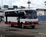 AP - A.C. Colectivo Ejecutivo de Transp. Apure 10, por Antonio Mittilo
