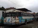 DC - Colectivos El Arenal