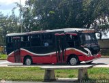 A.C. de Trans. Vencedores de Montalban 30, por Eduard Delgado