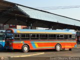 Colectivos Perij 26