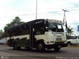 Asociacin Civil Lnea Unin Cordero 061, por Yenderson Cepeda