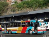 Cooperativa Canaima 10