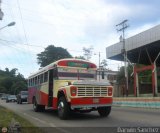 Transporte El Jaguito