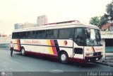 Colectivos Bribeth