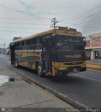 ZU - Colectivos Concepcin 024