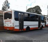 U.C. Mara Lionza 11, por Mauricio Hernndez