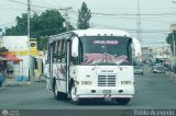 L�nea Altagracia 06 por Pablo Acevedo