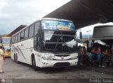 Expresos Alianza 306, por Freddy Salas