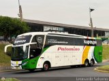 Expreso Internacional Palomino 7034 por Leonardo Saturno