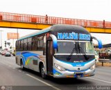 E.T. Maleo VIP (Per) 791, por Leonardo Saturno