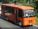 Unin Victoria 29, por Brayner Tovar