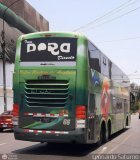 Trans Dora (Per) 066, por Leonardo Saturno