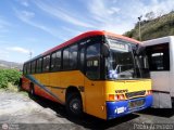 Organizacin Guaicamacuto 345