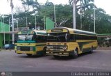 Transporte Panamericano 07