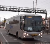 Bus Service Automotriz S.A.C. 073, por Leonardo Saturno