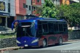 Colectivo Los Andes (M�rida - El Vigia) 512