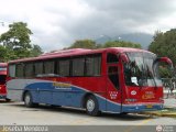 Transporte Bonanza 0042