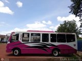 Transporte Tren al Sur C.A. 10