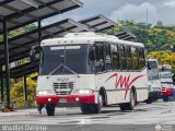 A.C. Transporte Vencollano 01, por Wualter Ovejero