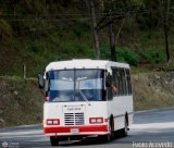 AR - Uni�n Los Samanes 99, por Pablo Acevedo