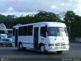 Unin Victoria 15, por Brayner Tovar