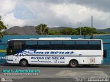 Inscata 07, por Jose L. Amundarain