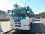 U.C. Caracas - El Junquito - Colonia Tovar 052, por Miguel Pino
