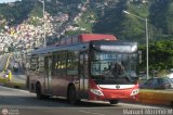 Bus Gurico