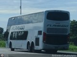 Expresos Flamingo 2020