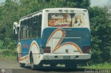 A.C. de Transporte Encarnaci�n 037