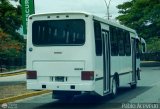 Cooperativa Hacienda Casarapa 95