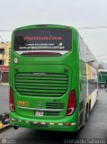 Expreso Internacional Palomino 8010, por Leonardo Saturno